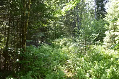 44 Dore Hill Road, Athens, ME 04912 - Photo 19