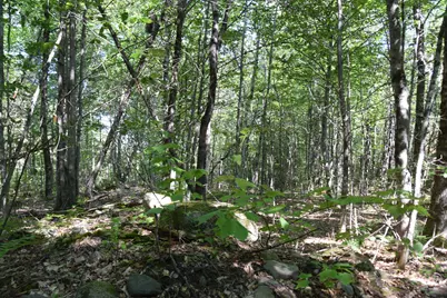 44 Dore Hill Road, Athens, ME 04912 - Photo 27