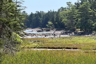 59 Moyer Wy, Gouldsboro, ME 04607 - Photo 1