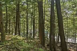 81 Merganser Ln, Winthrop, ME 04364 - Photo 93