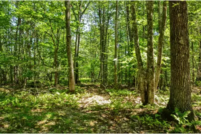 22 Shelter Drive, Richmond, ME 04357 - Photo 69