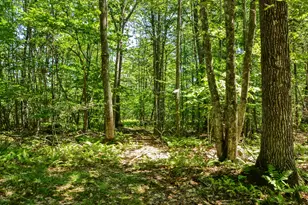 22 Shelter Dr, Richmond, ME 04357 - Photo 69