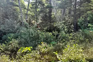 416 Horseshoe Pond Rd, Ebeemee Twp, ME 04414 - Photo 19