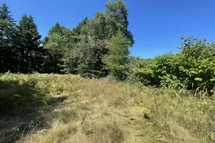 106 N Main St, Stonington, ME 04681 - Photo 1