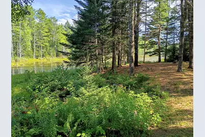 495 Dahlia Farm Road, Monroe, ME 04951 - Photo 3