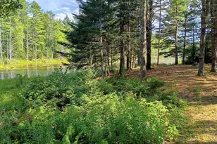 495 Dahlia Farm Rd, Monroe, ME 04951 - Photo 3