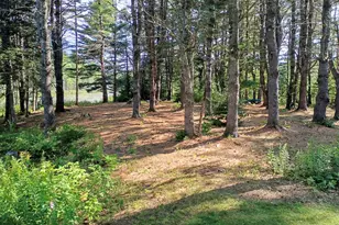 495 Dahlia Farm Rd, Monroe, ME 04951 - Photo 5