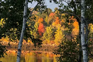 20 Shado Ln, Calais, ME 04619 - Photo 59