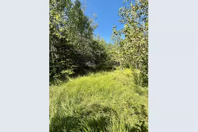 Lot 19-2 Valley Road, Columbia Falls, ME 04623 - Photo 5