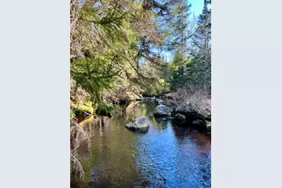 Lot 19-2 Valley Road, Columbia Falls, ME 04623 - Photo 1
