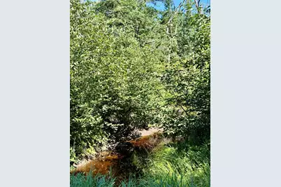 Lot 19-2 Valley Road, Columbia Falls, ME 04623 - Photo 7
