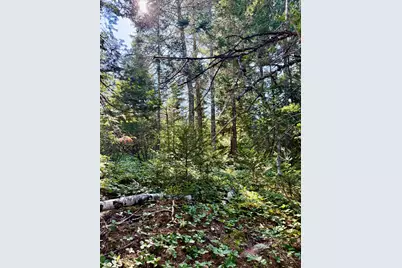 Lot 19-2 Valley Road, Columbia Falls, ME 04623 - Photo 9