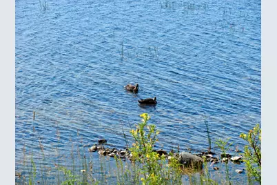 155 Deering Lake Road, Orient, ME 04471 - Photo 25