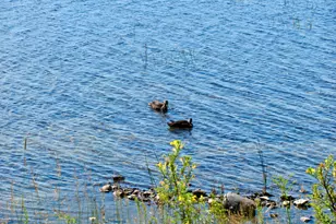 155 Deering Lake Rd, Orient, ME 04471 - Photo 25