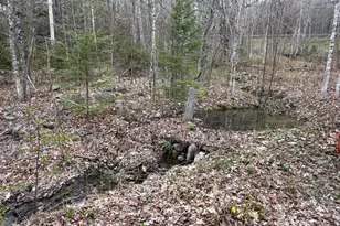 32 Nagle Ln, Weston, ME 04424 - Photo 25