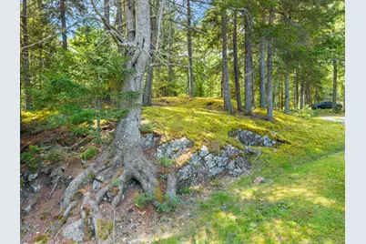 315 Hinckley Ridge Road, Blue Hill, ME 04614 - Photo 59