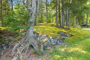 315 Hinckley Ridge Rd, Blue Hill, ME 04614 - Photo 59