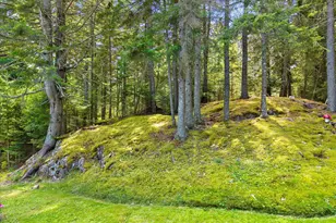 315 Hinckley Ridge Rd, Blue Hill, ME 04614 - Photo 57