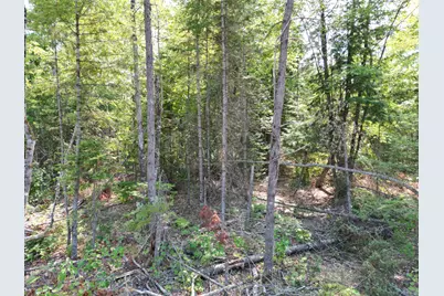 Lot 4A Off Morgan Road, Burnham, ME 04922 - Photo 3