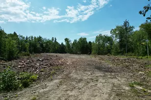 Lot 4A Off Morgan Rd, Burnham, ME 04922 - Photo 1