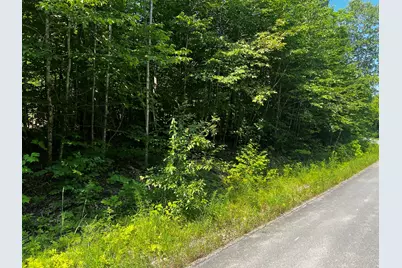 Lot  14-4 Baker Ridge Road, Danforth, ME 04424 - Photo 1