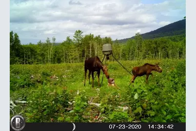 130 Schoolbus Road, Mount Chase, ME 04765 - Photo 53