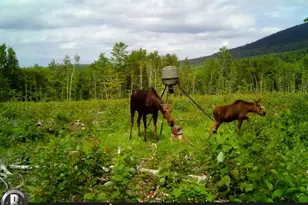 130 Schoolbus Rd, Mount Chase, ME 04765 - Photo 53