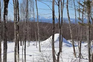 130 Schoolbus Rd, Mount Chase, ME 04765 - Photo 59