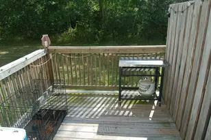 1434 Ohio St, Bangor, ME 04401 - Photo 9