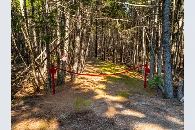 M57, L20 Paul Bunyan Road, Gouldsboro, ME 04607 - Photo 9