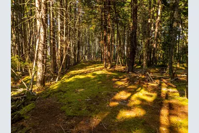 M57, L20 Paul Bunyan Road, Gouldsboro, ME 04607 - Photo 23