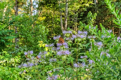 52 Hunter Hill Road, Durham, ME 04222 - Photo 75
