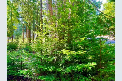 37 E Ridge Road, Southwest Harbor, ME 04679 - Photo 43