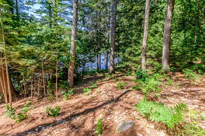 393 Bush Row Road, Denmark, ME 04022 - Photo 77