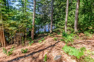 393 Bush Row Rd, Denmark, ME 04022 - Photo 77