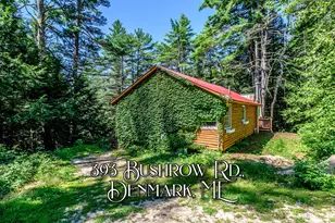 393 Bush Row Rd, Denmark, ME 04022 - Photo 1