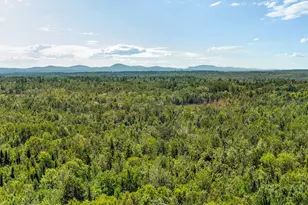 4143 Union St, Levant, ME 04456 - Photo 63