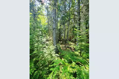 1526 &1528 Gary Moore Road, Otis, ME 04605 - Photo 37