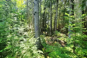 1526 &1528 Gary Moore Rd, Otis, ME 04605 - Photo 37