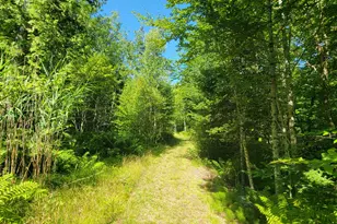 1526 &1528 Gary Moore Rd, Otis, ME 04605 - Photo 31