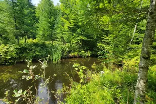 1526 &1528 Gary Moore Rd, Otis, ME 04605 - Photo 33