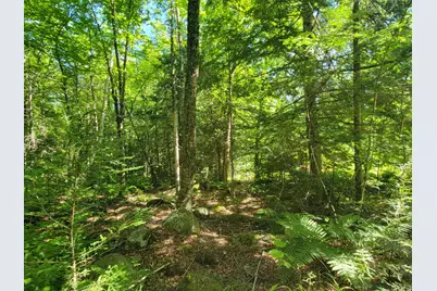 1526 &1528 Gary Moore Road, Otis, ME 04605 - Photo 43