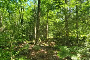 1526 &1528 Gary Moore Rd, Otis, ME 04605 - Photo 43