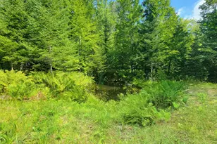 1526 &1528 Gary Moore Rd, Otis, ME 04605 - Photo 35