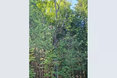 1526 &1528 Gary Moore Road, Otis, ME 04605 - Photo 39
