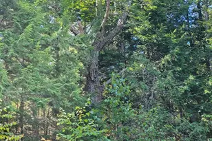 1526 &1528 Gary Moore Rd, Otis, ME 04605 - Photo 39