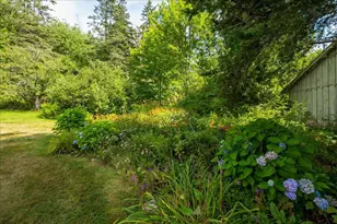 404 Turkey Cove Rd, Saint George, ME 04860 - Photo 53