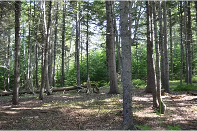 12 Ocean Ridge Road, Cushing, ME 04563 - Photo 3