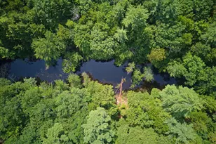 832 Morrills Mill Rd, North Berwick, ME 03906 - Photo 55