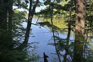 955 Ossipee Trail W, Standish, ME 04084 - Photo 1
